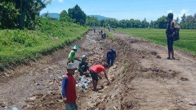 jempolindo, jember, warga kencong, salurn irigasi