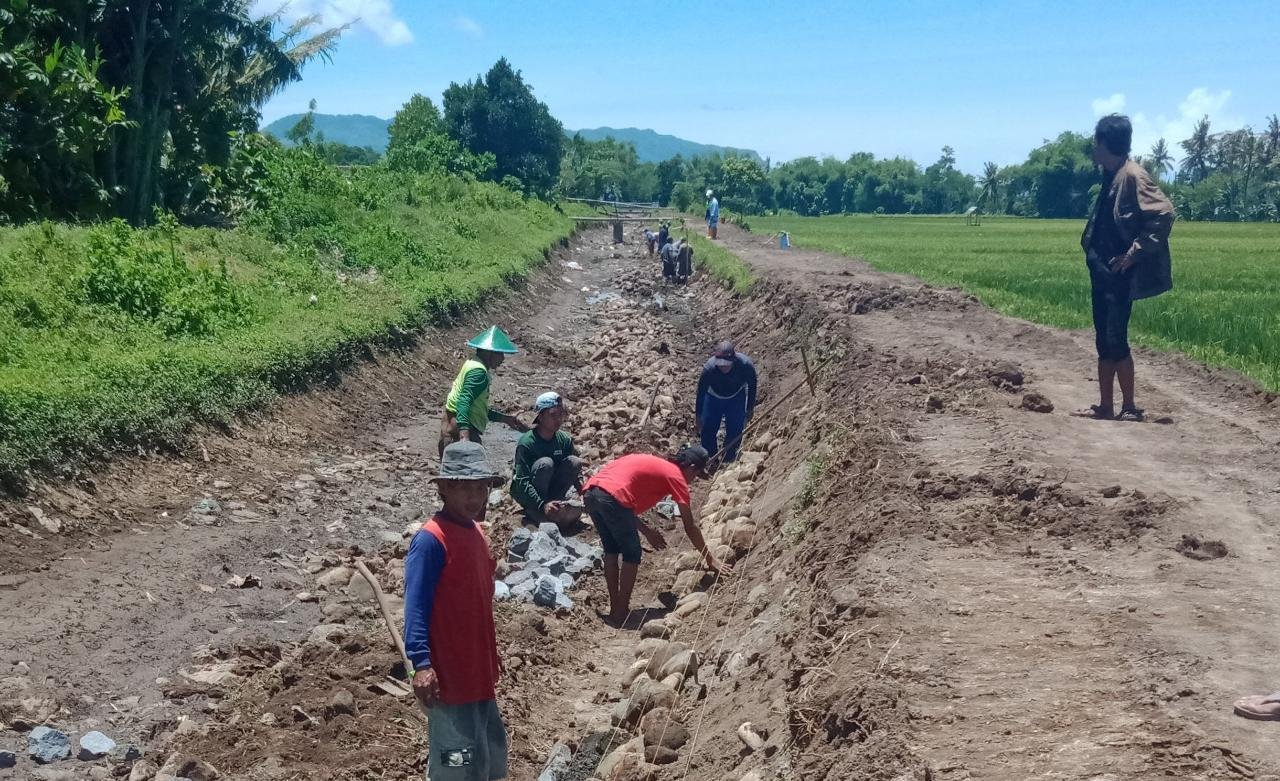 jempolindo, jember, warga kencong, salurn irigasi