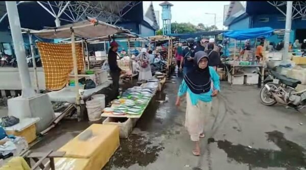 jempolindo, jember, pemdes puger wetan, timbangan ikan nelayan