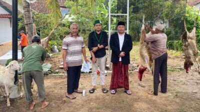 jempolindo, jember, HMI Cabang Jember, Komisariat Ibn Khaldun, 7 ekor kambing