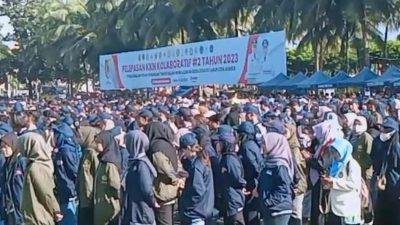 jempolindo, jember, KKN Kolaboratif, pemkab jember