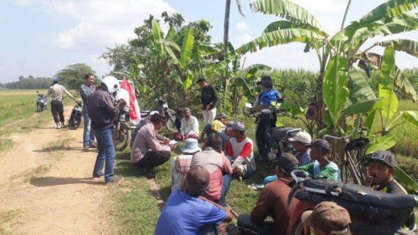 jempolindo, jember, desa padomasan, pupuk bersubsidi