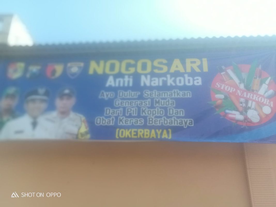 jempolindo, jember, peredaran pil koplo, desa nogosari