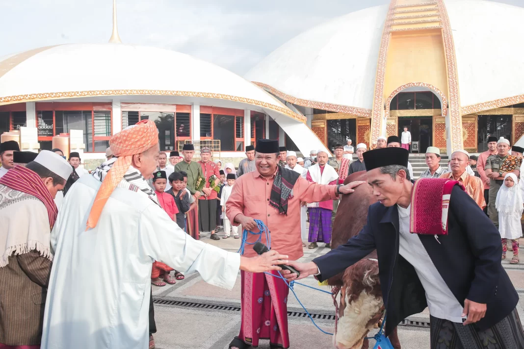 5 Sapi Qurban Sumbangan Bupati Jember jempolindo, jember, bupati jember, sapi qurban