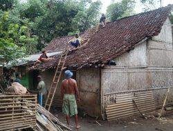 jempolindo, jember, rumah janda, desa curahkalong