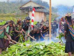 Tradisi Bakar Batu, Cara Orang Papua Peringati Kemerdekaan RI Ke-78