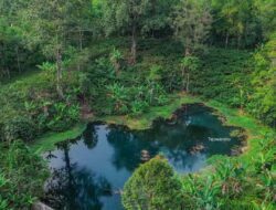 Kisah Mistis Sendang Langon di Jember 