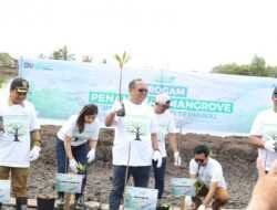 Hari Menanam Pohon Indonesia Pelindo Multi Terminal Taman 8000 Bibit Mangrove di Kalimantan 6 Hari Menanam Pohon Indonesia Pelindo Multi Terminal Taman 8000 Bibit Mangrove di Kalimantan