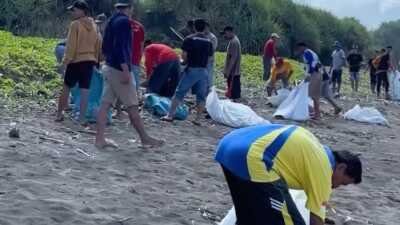 Jelang Parade Pegon Disparbud Jember Bersih Bersih Pantai Watu Ulo 