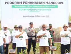 Sambut Hari Maritim Nasional, SPMT Grup Tanam 30.000 Bibit Mangrove