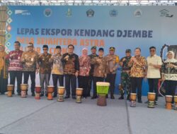 Mendes PDT Lepas Ekspor Kendang Djembe ke China, Berharap Tingkatkan Perekonomian Desa Ngoran Blitar 